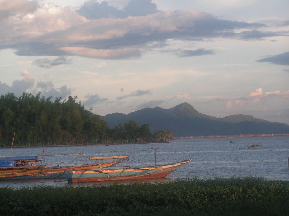 Photo #4733824
