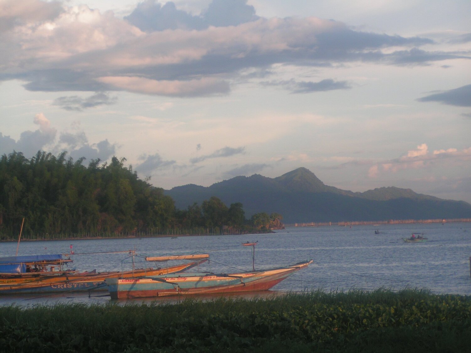 Photo #4733824