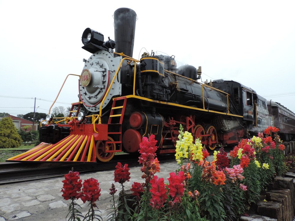 Maria Fumaça (Trem do Vinho)