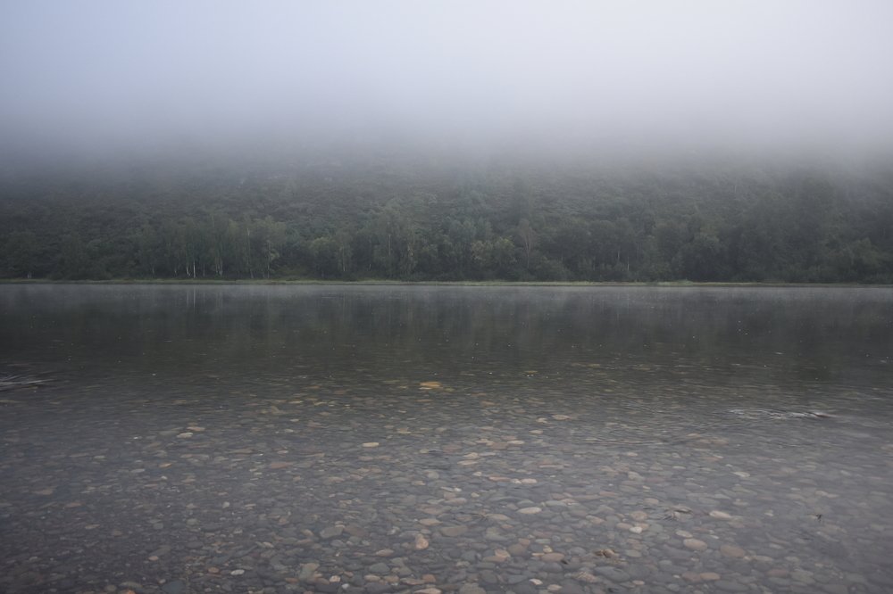 Photograph by Александр Прядко