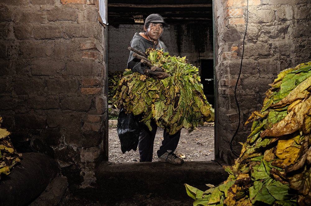 De la serie Tabaco