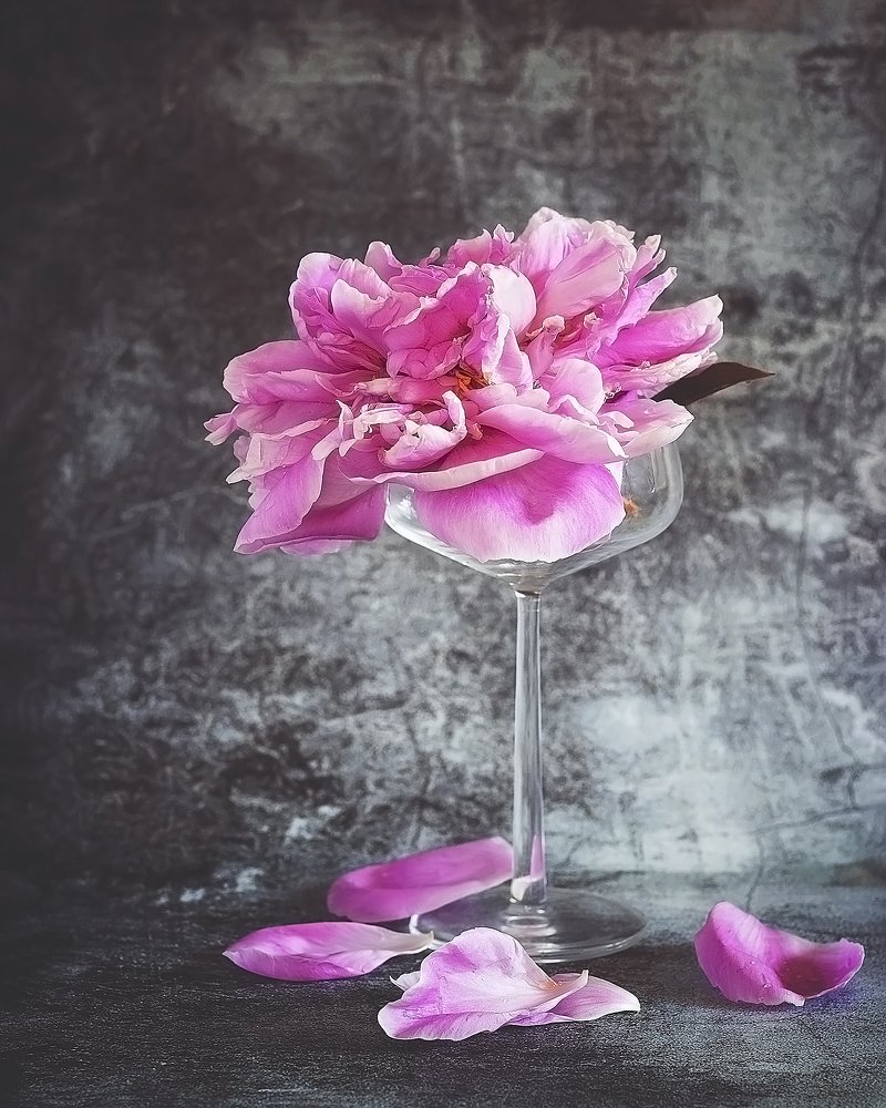 Falling peony in a glass