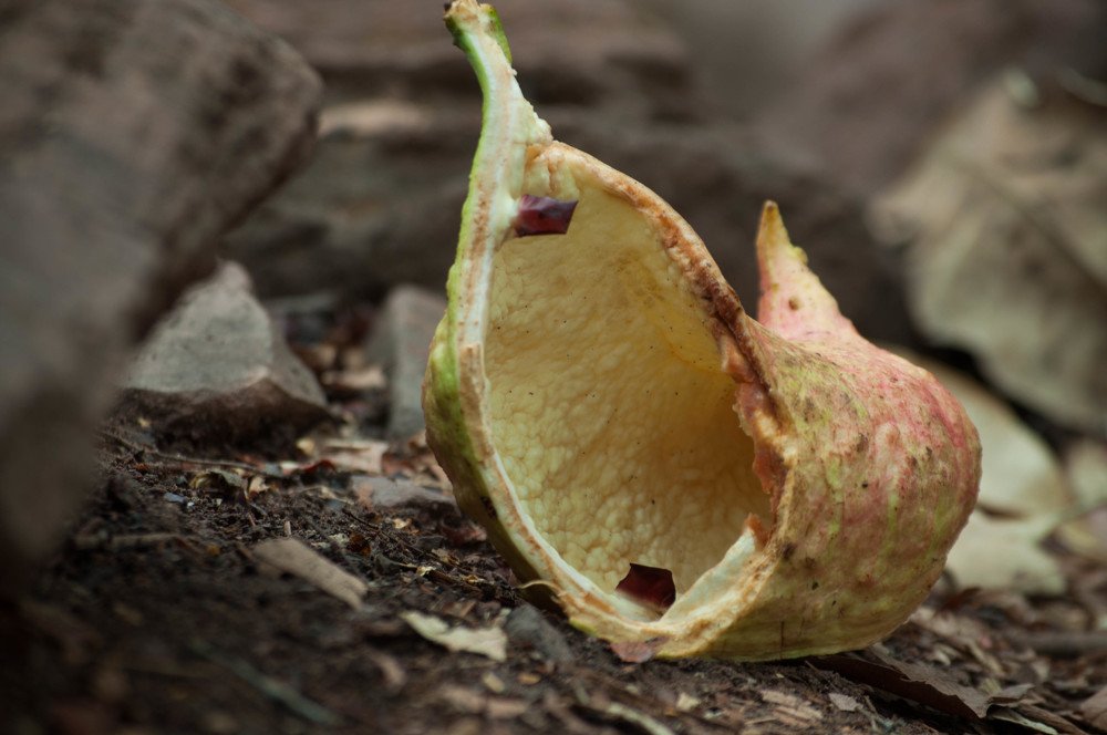 Photograph by Fatima Bint Rassoul