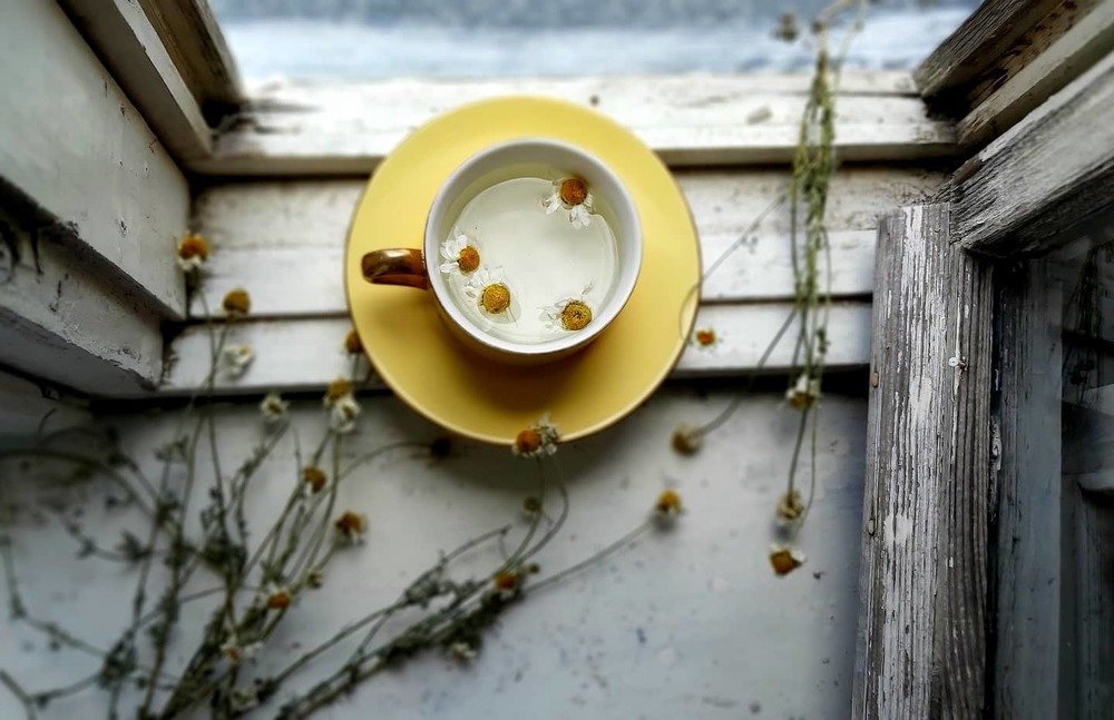 Photograph by Hasmik