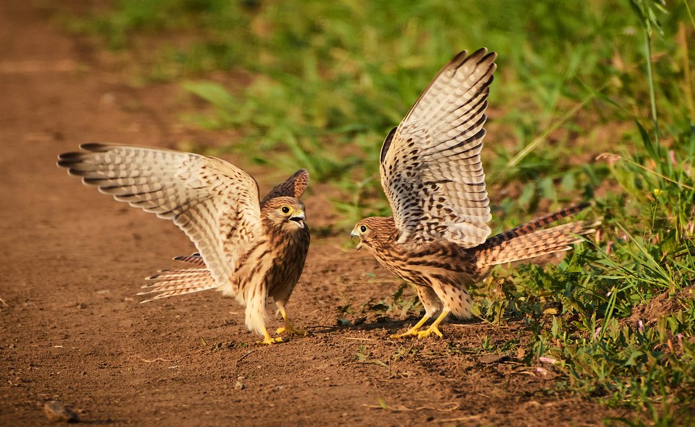 Photograph by Vasilii Medvedev