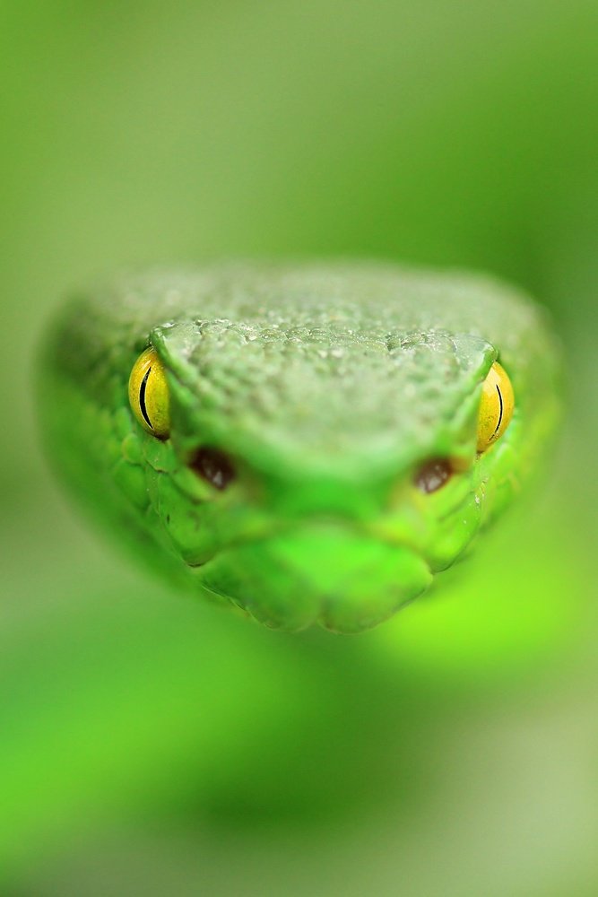 Photograph by Rohit Giri