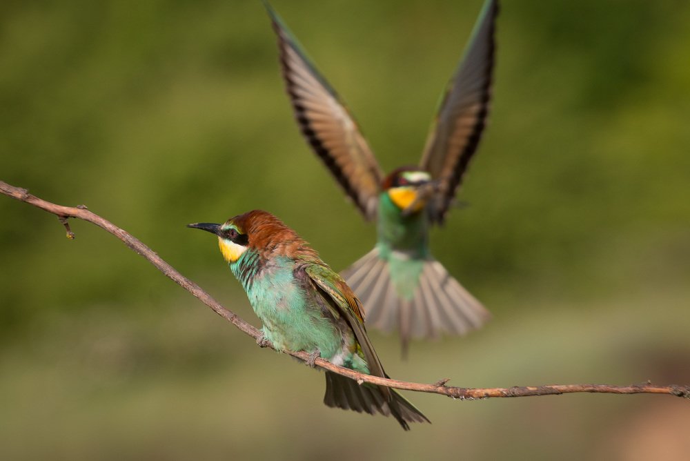 Ты мне не нужен