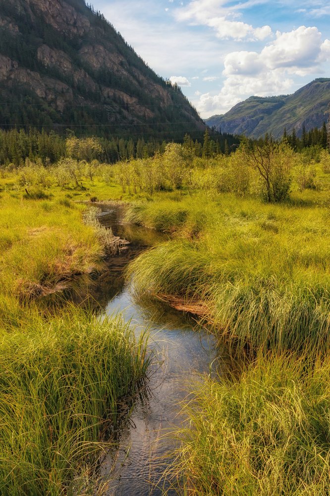 Ручей у озера