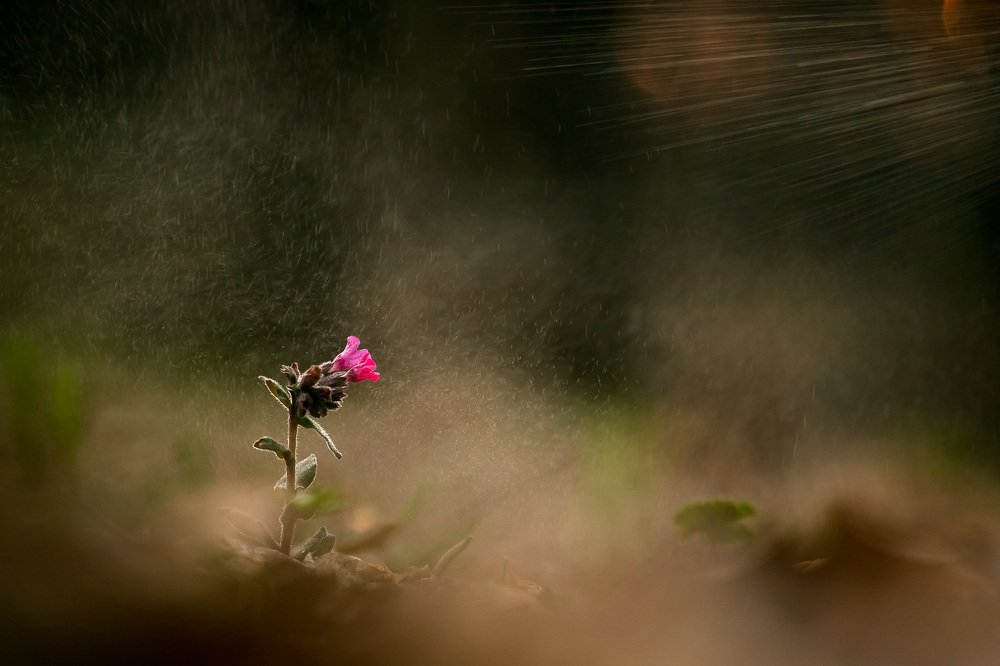 Photograph by Алексей Юденков