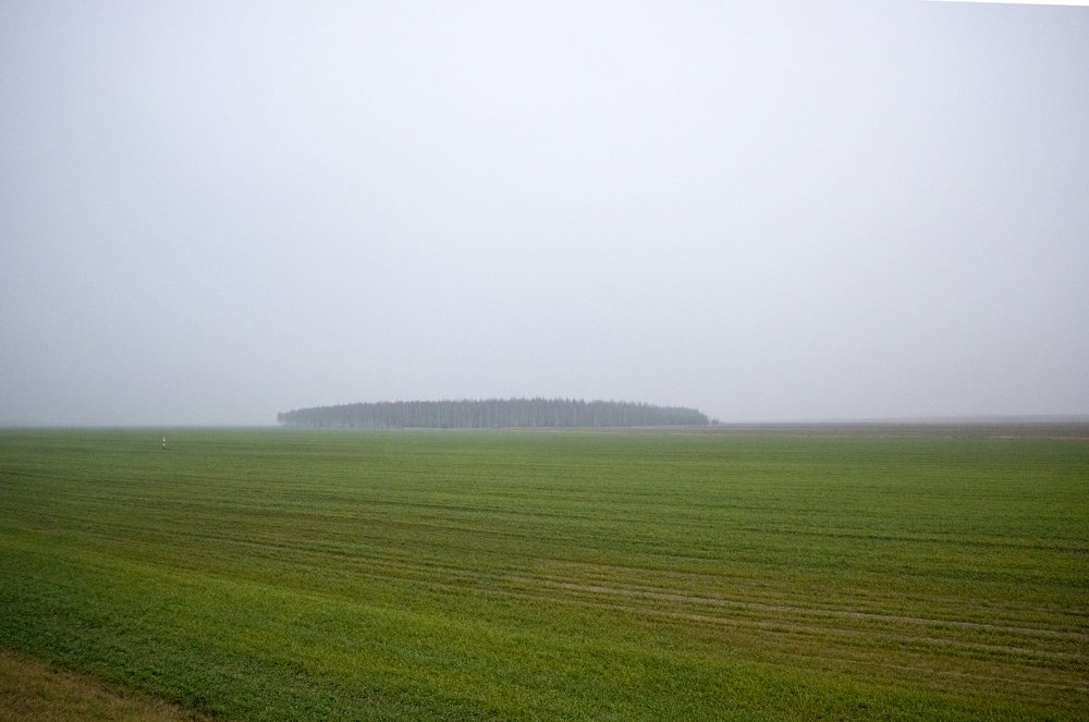 Photograph by Иван Григорьев