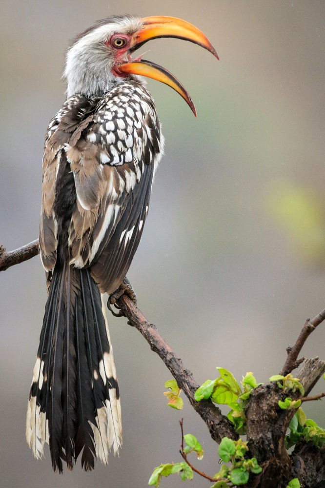 Photograph by Gateth Hurley