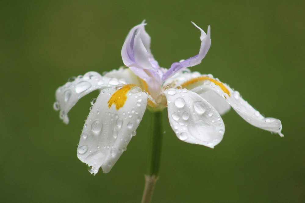 Photograph by Rebeca Alejos