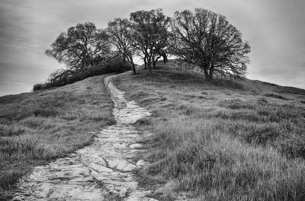 Photograph by Владимир Гречанинов