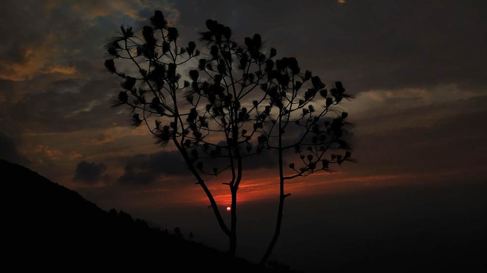 Photograph by Bipin Lama