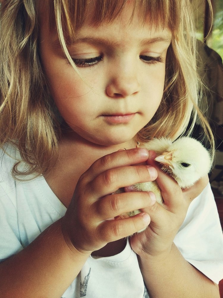 Фотография автора Марина Стрелова