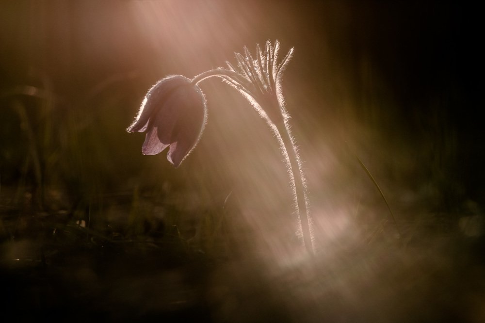 Photograph by Алексей Юденков