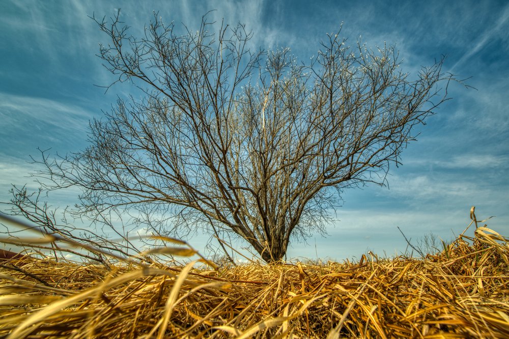 Photograph by Сергей Кирюхин