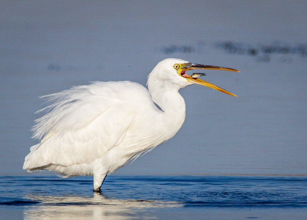 Between life and death