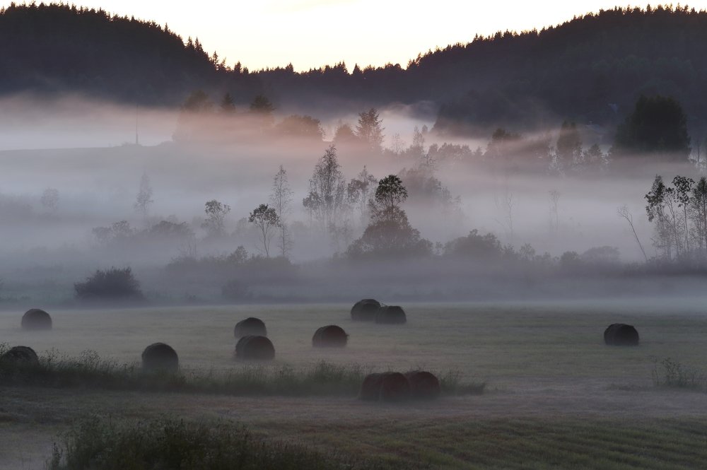Розовый туман.