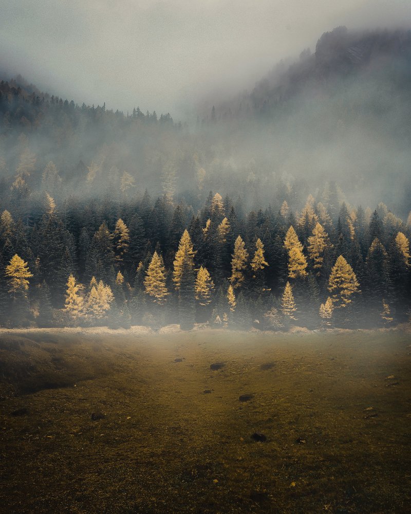 Photograph by Nasos Papadopoulos