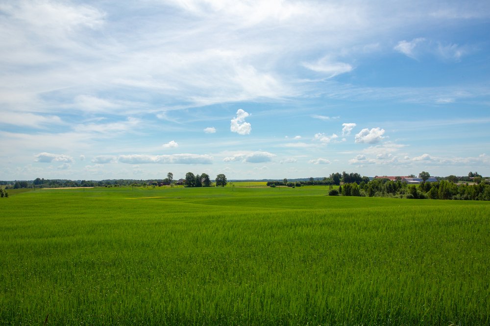 Photograph by Наталья Катюжанская