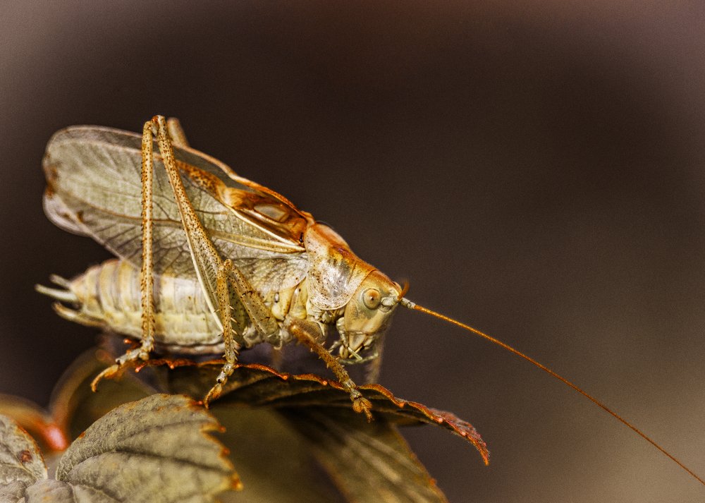 Photograph by Сергей Балухта