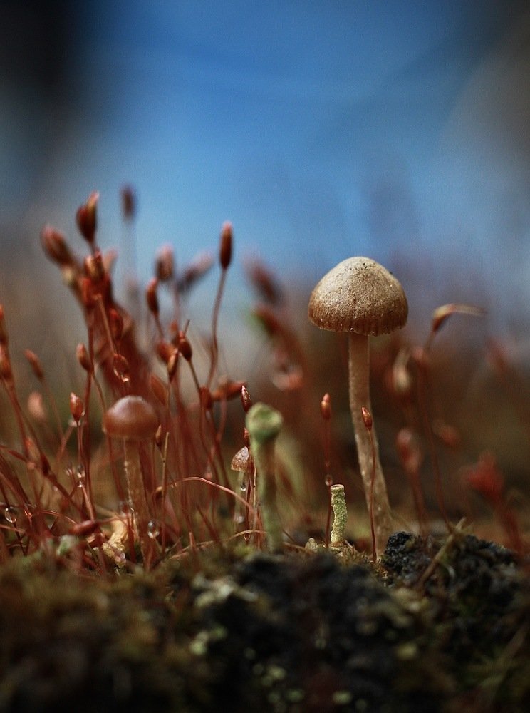 Photograph by Екатерина Гринева