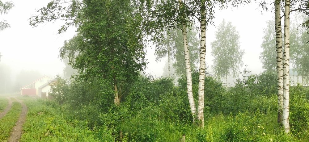 Photograph by Александр Танчук