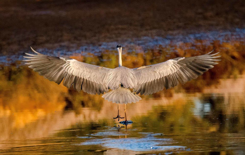 Фотография автора Joao Lelo