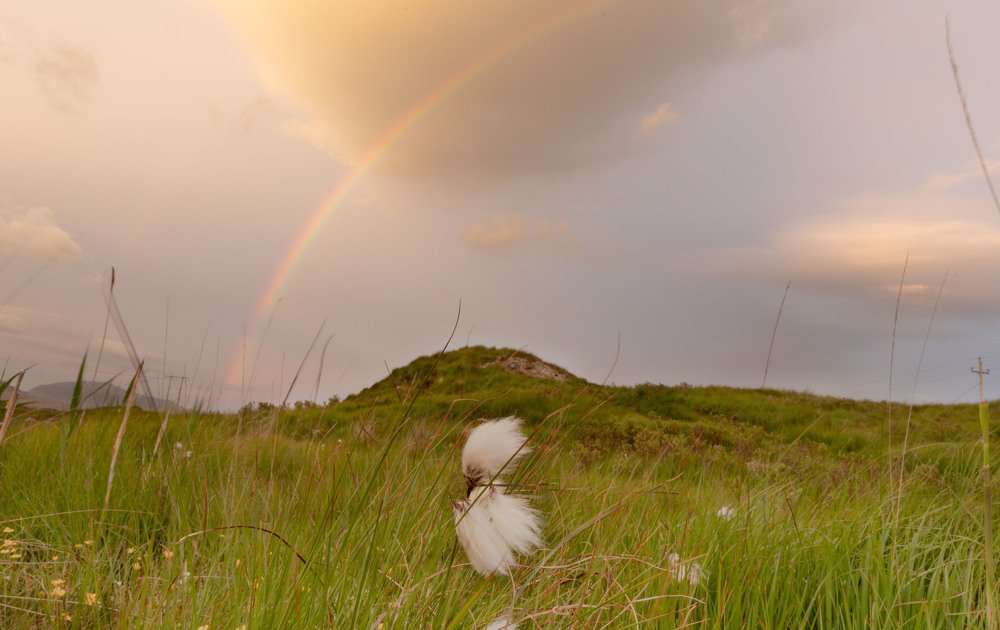 Photograph by Adam Kaczmarek