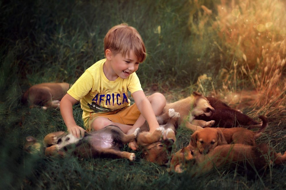 Photograph by Вера Хвастунова