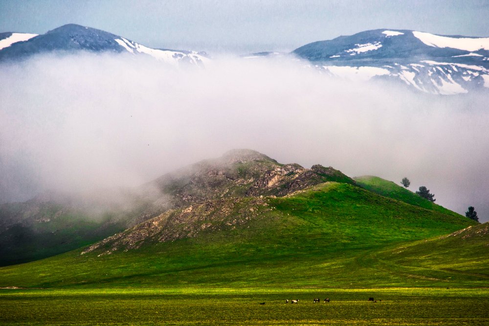 Photograph by Victoria Krasyuk