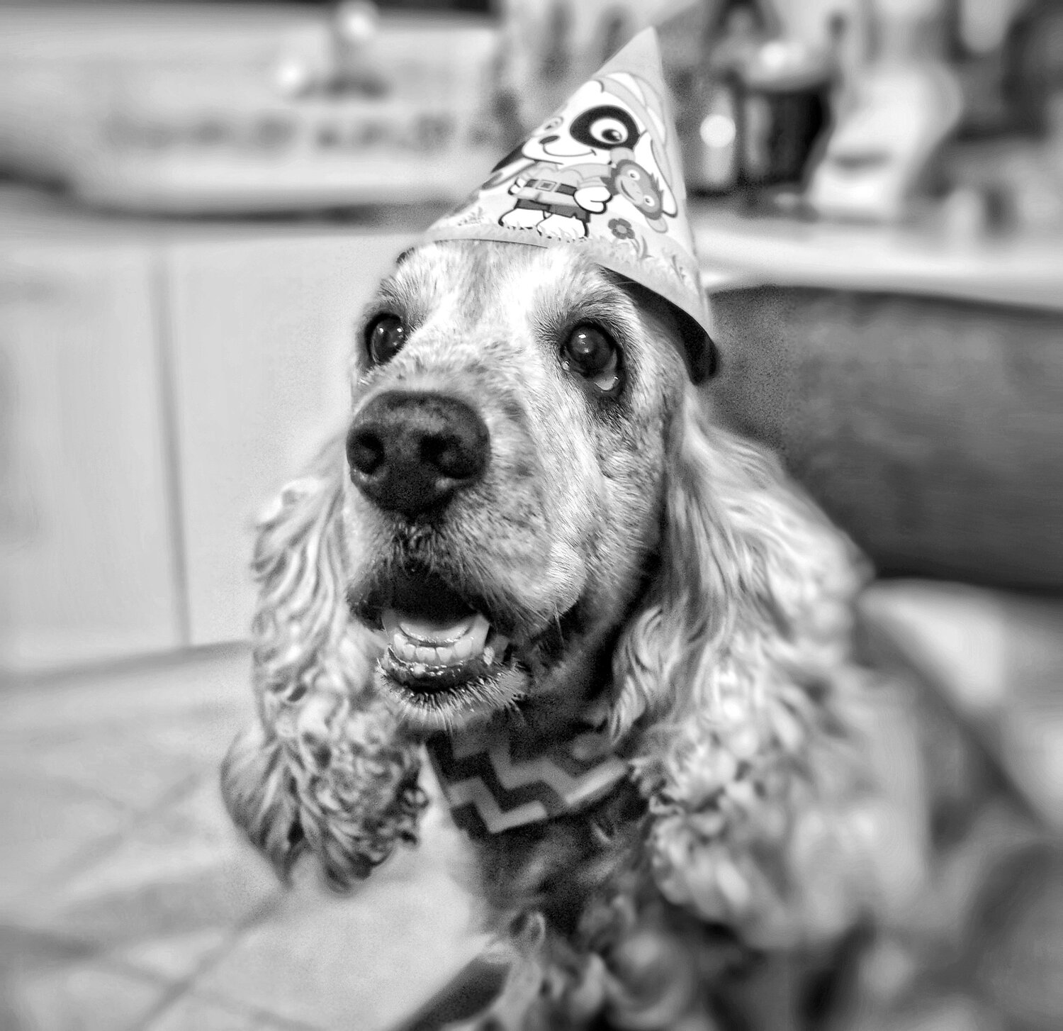 Mia's Birthday