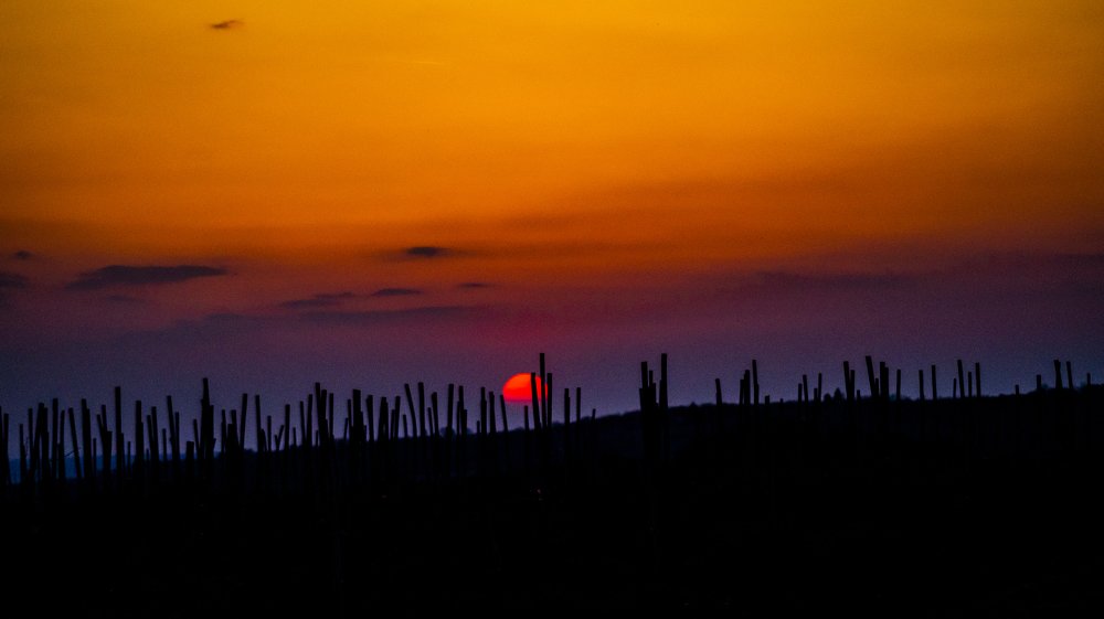 Photograph by Sveto Mamlic