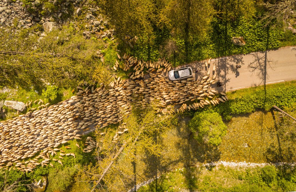 Photograph by Николай Пузанкевич