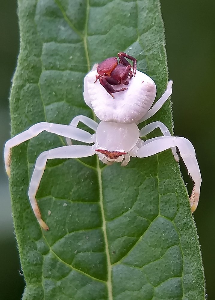 Photograph by Biswanath Chaki