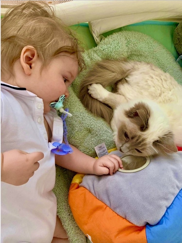 Photograph by Albert Russo