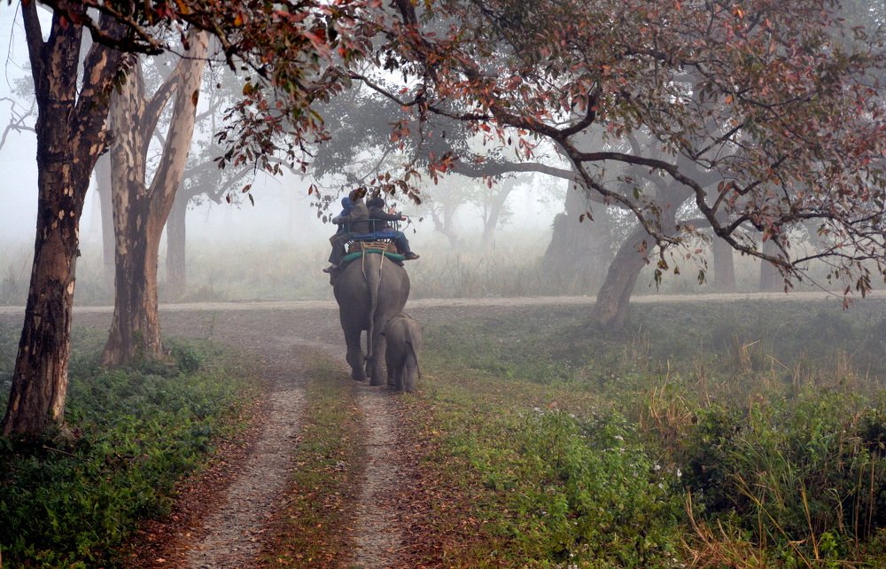 Photograph by Nayan Chandra