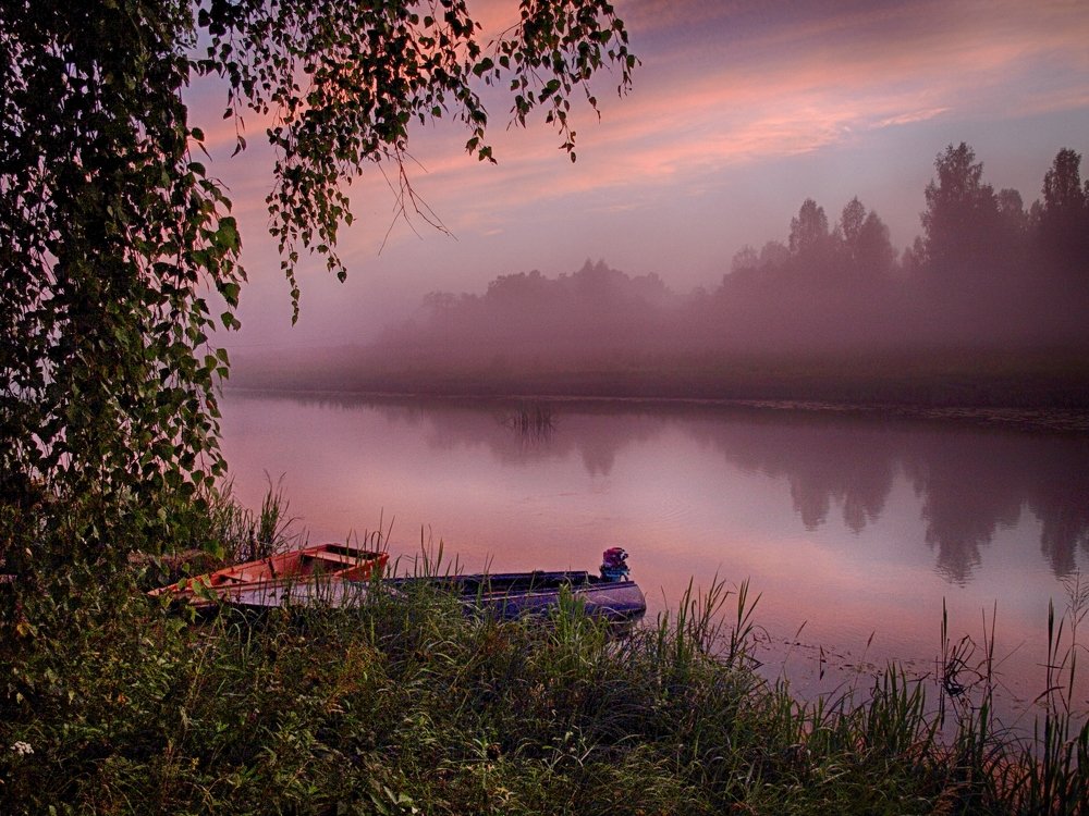 Туманный закат