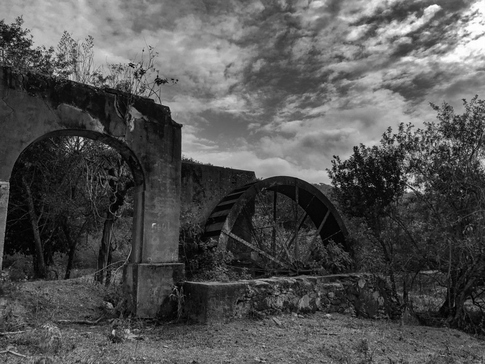 Photograph by Vanessa Santos