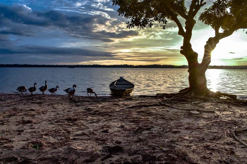 Photograph by Ratul sarkar