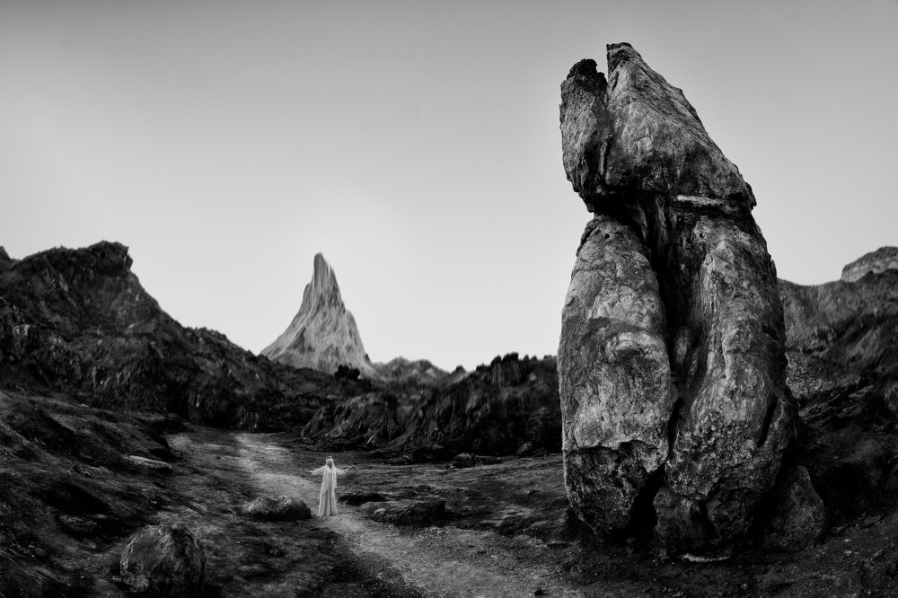 Photograph by seyed mohammad javad sadri