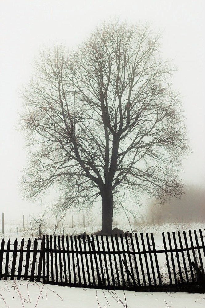 Photograph by Марат Марик