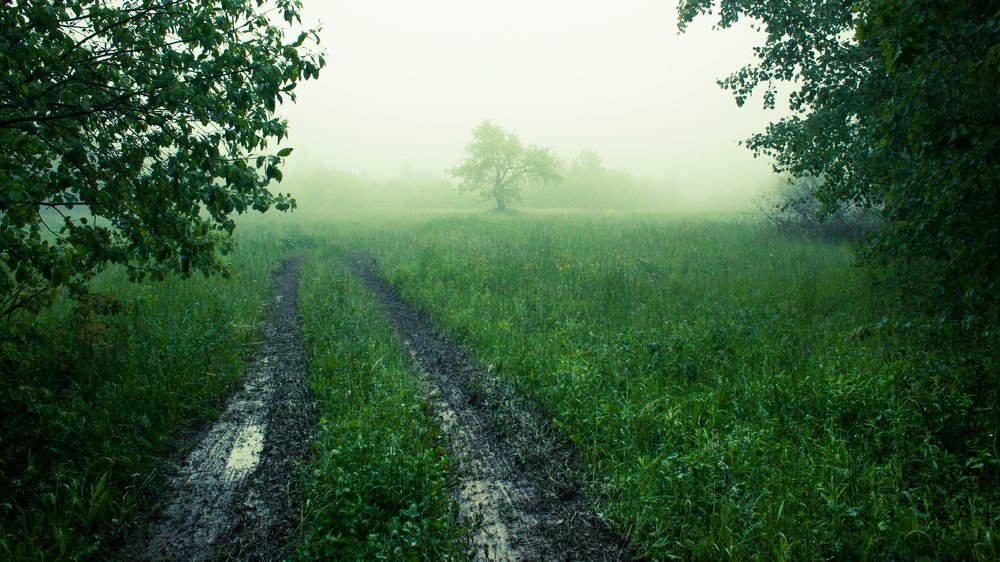 Photograph by Марат Марик