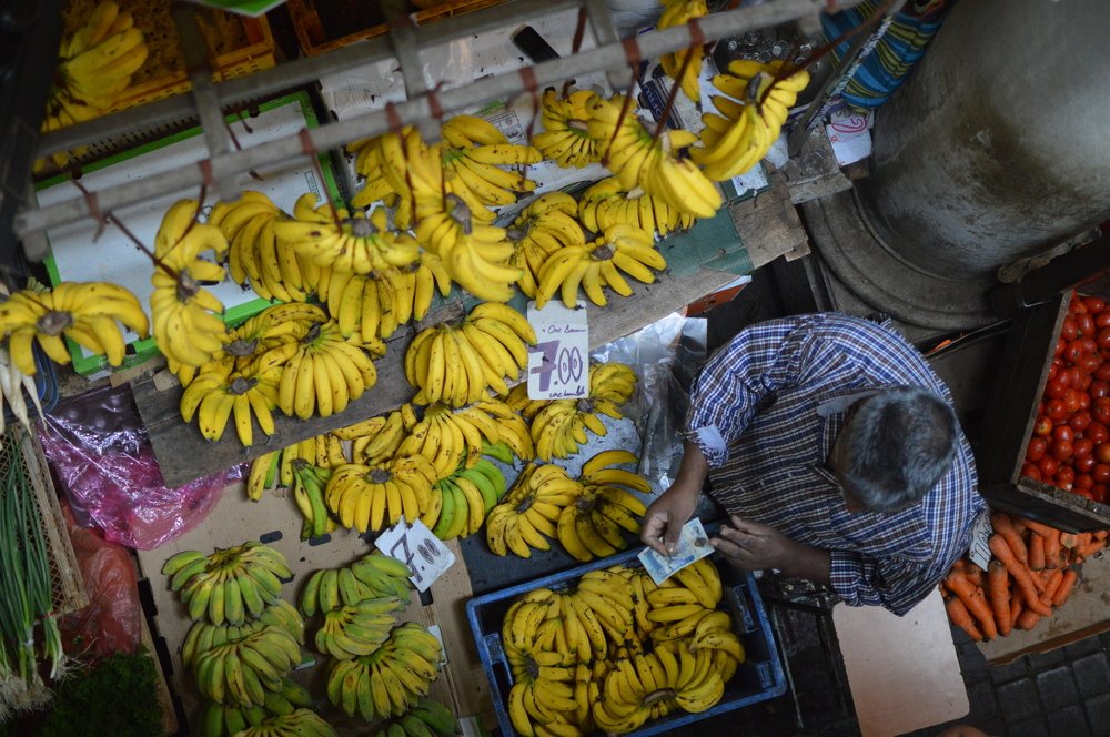 Stuck in banana world.