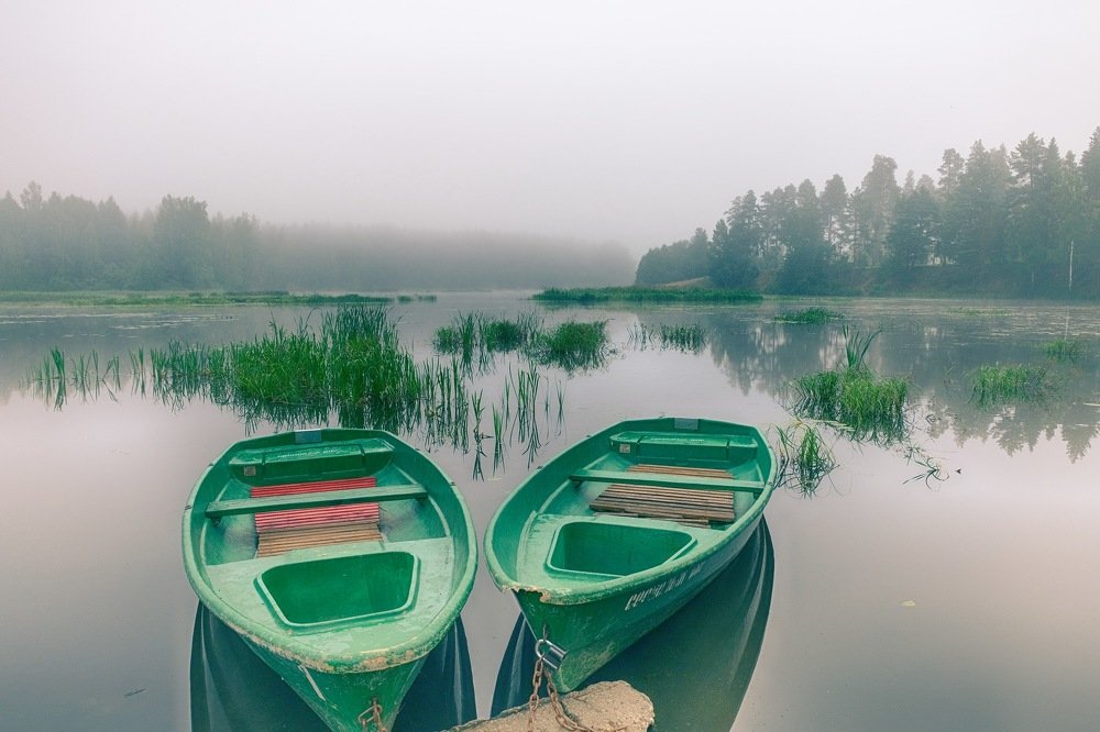 Туман в Сосновом Бору