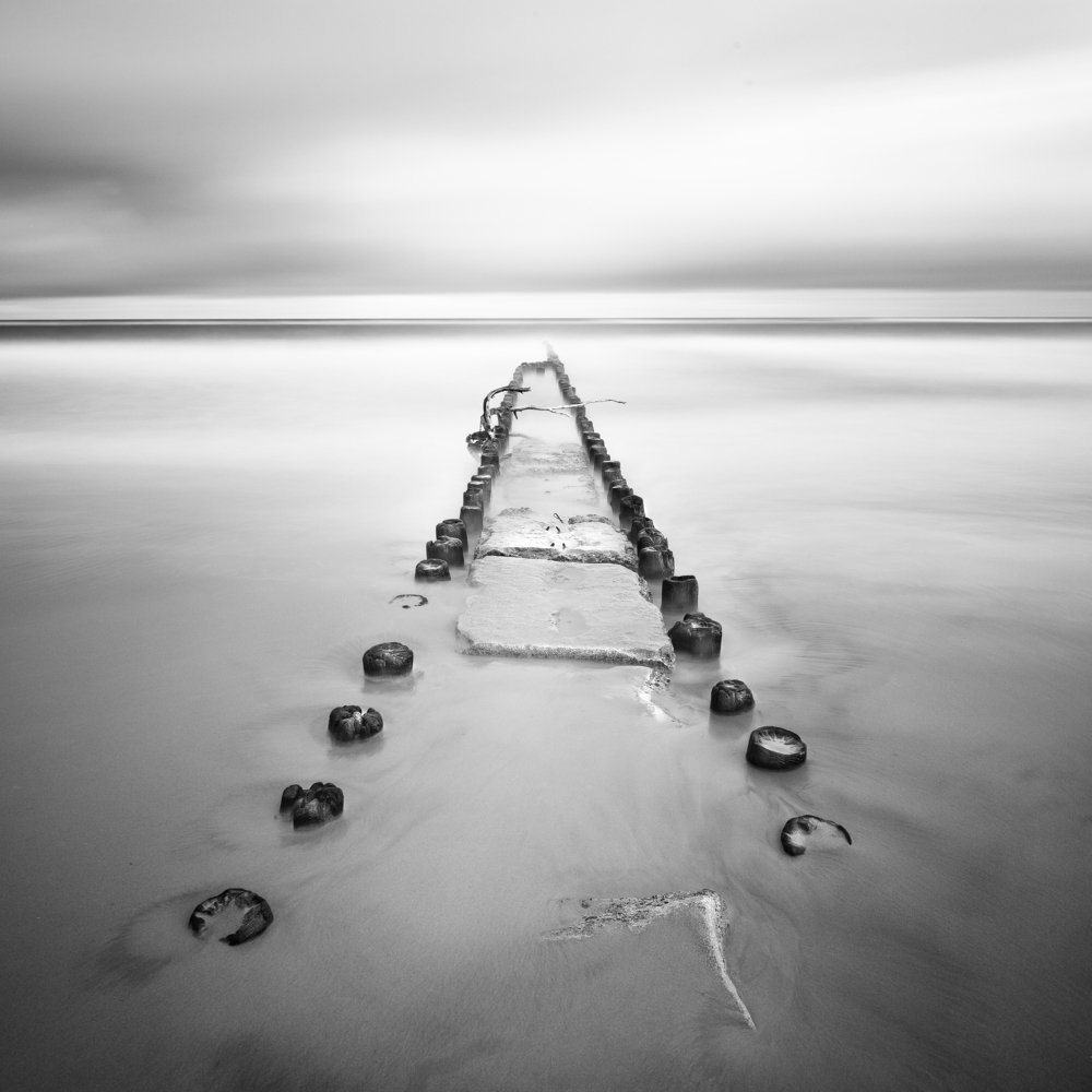 Фотография автора Adrian Misiak