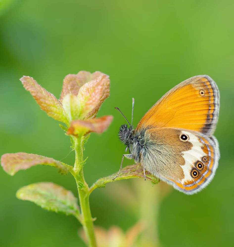 Photograph by Marius Alexandru