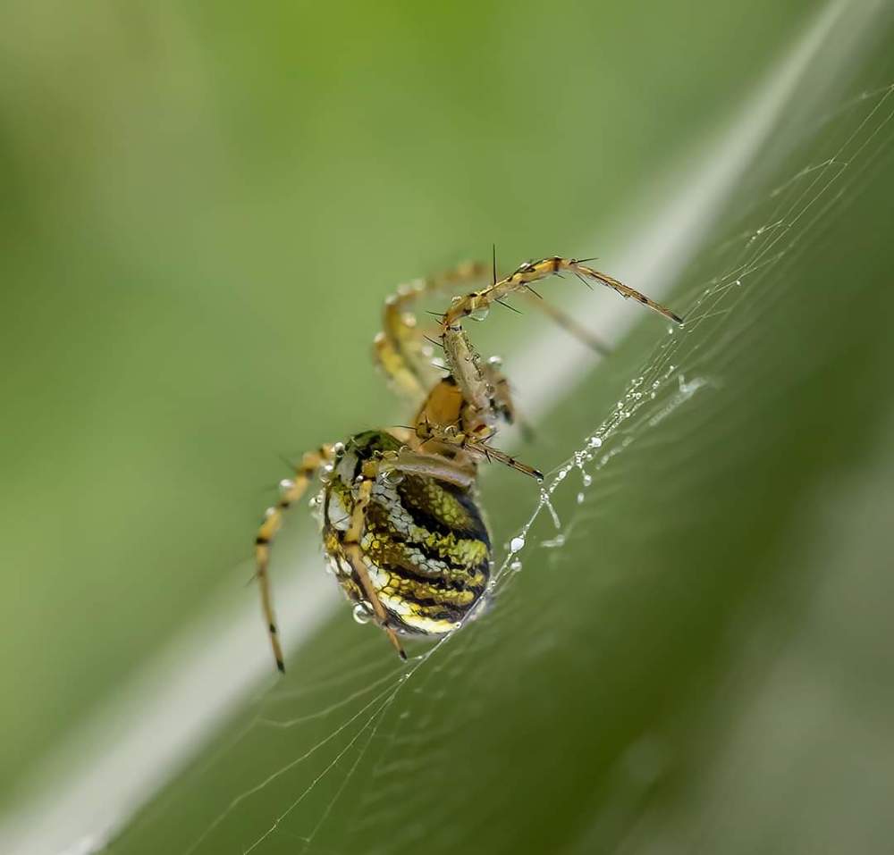 Photograph by Marius Alexandru