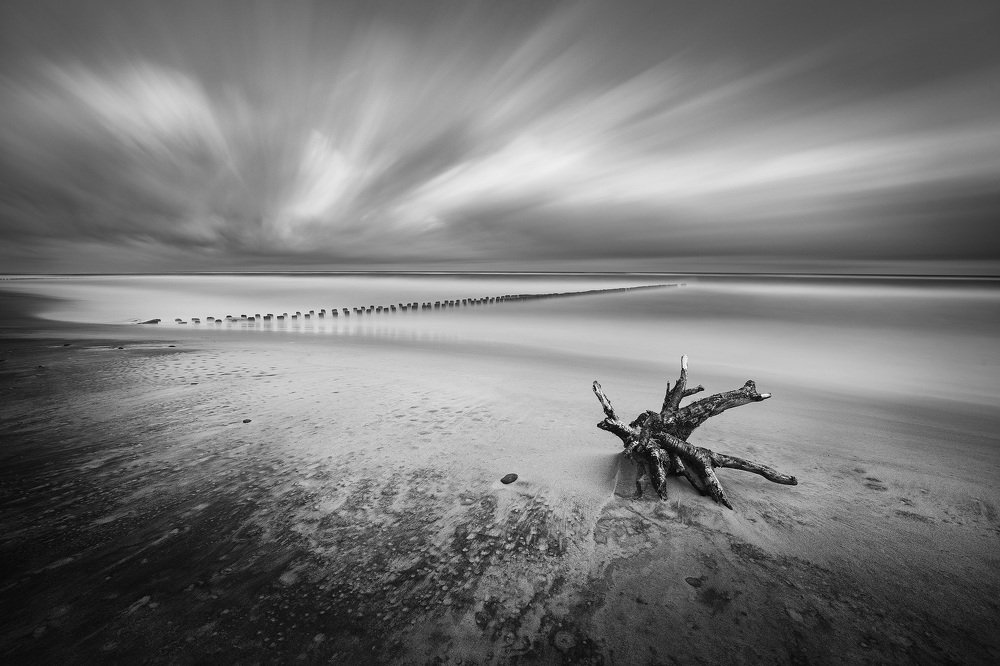 Фотография автора Adrian Misiak